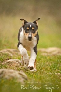 5801df2d35dc9dcf1b9ad90dbef540f9