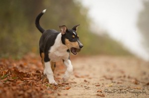 63641de9a4f254be47b9997280a6eba3