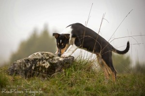 6ad10edbdfa3807cb9b479a6ce974799