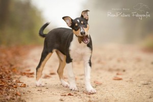 6b9f05c7b9165bf0bec4c08c67717c66