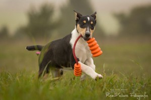 6f4274b14917dc40fc0ba4169ac84f8d