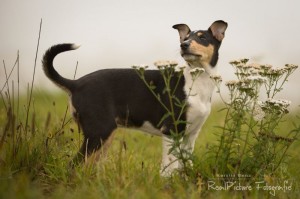 83a7d4da98161ddb5a5d3eee85df6fa0