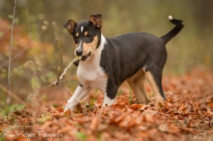 94888d95078507dc6d3dd90fe53a16a3