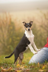 99c630266470612bdf4f68a5022923d5