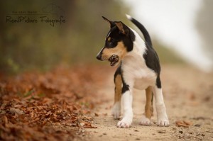 9a4472d7f79a62238ca42e40dd4c459c