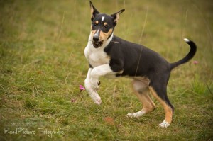 a15018b2cc406d487be94922f0952691