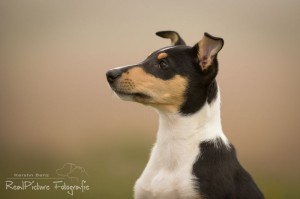 b54224580e7409778628917193a8e925