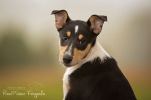 c71757c77a75c514d96ab77403e31c6a