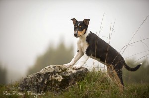 ca18fa78abf31b8579355999d2b7e879