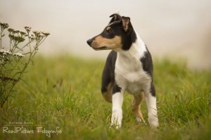 ce74ca6cd132ad8fe37343d2f4ac76b2