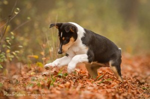 d5b86d2bfe8f6adaa13e8597e9992963