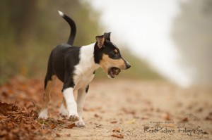 f401523a63a73637ecf14dd2bcc92cda 