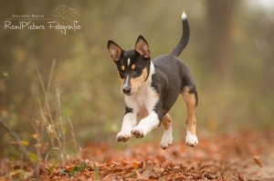 f4628675c4ee447ac89d02e3a40a63d5 