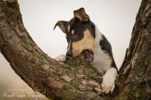 f6cfa5574d0d6ebedf043a48a3247b38 