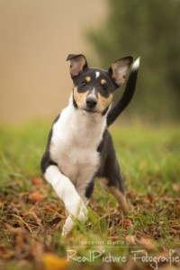 f776bdf8aac38f89bcc8a18431ce25b3 