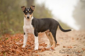 f900f2bbefac614015c2ea1efbe4567e 