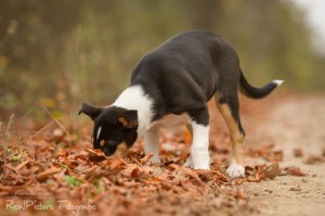 f9f4f01789ada9578565987ddfa7f2a4 