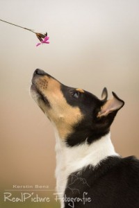 f9f94372e38946fffcf182131aee106f 