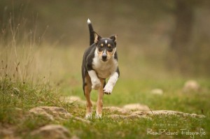 fa1ae8e89c9e9db734ec506e44688c54 