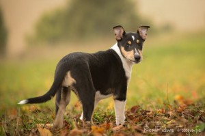 fe22b388d437111b517610d1262a038d 