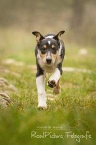 ffc056d4c4cec7654b86575e7ee0a5ef 