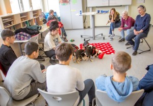 schule2_00c-3407p_pixel     