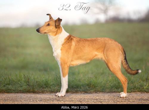 00 -6462pp 1000 32text