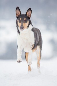 maren6_600
