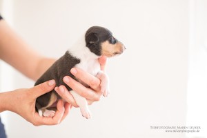 2-IMG_6733            