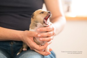 8-IMG_6765            