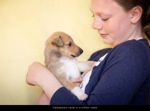 000_-8148_millie_p_1000name