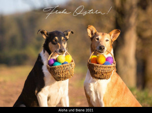 00-6158_1000a_ostern_2021