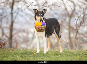00-6290p_1000ostern_2021
