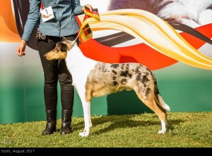 scott_2017august2_1000 