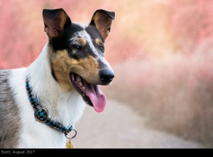 scott_2017august3_1000 