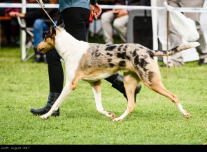 scott_2017august_1000 