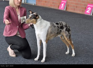 scott_2018april_1000 