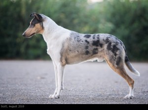 scott_2018august_1000 