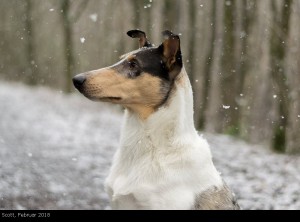 scott_2018februar_1000 