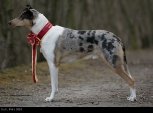 scott_2018märz_1000 