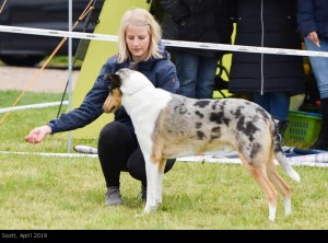 scott_2019april_1000 