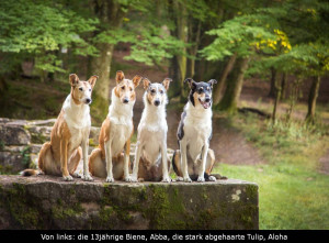 00_panorama0-5459p_1000