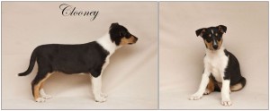 galerie6_clooney