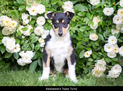 00 -0923vp 1000topsy