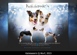 Kalalassie's2_798                      