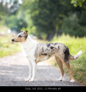 hp_-1901pp_qp_598 (1)                                                                                                                                                                                        