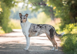 00_-2934-3pp_1000_28                         