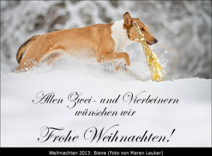 weihnachten13