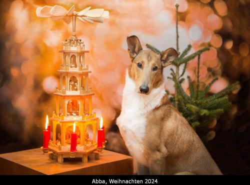 000 12 1000weihnachten
